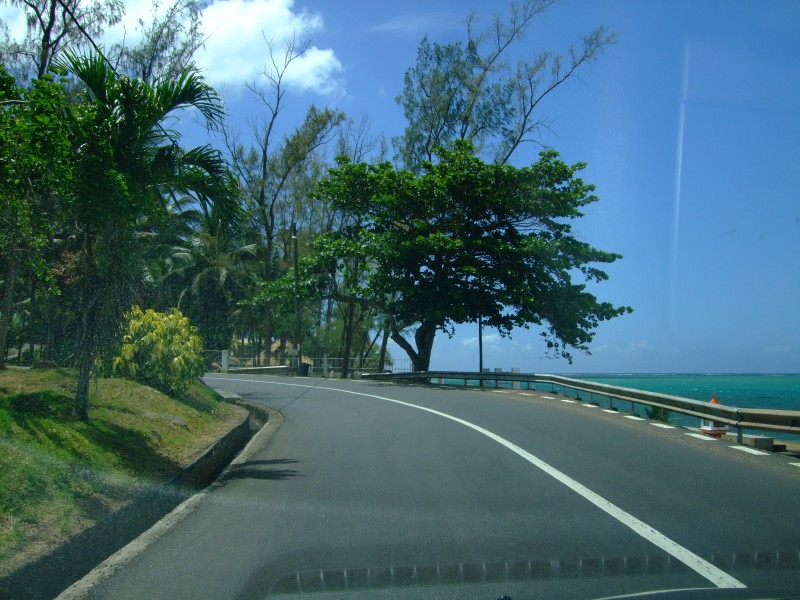 Mauritius 2010 - 0273 